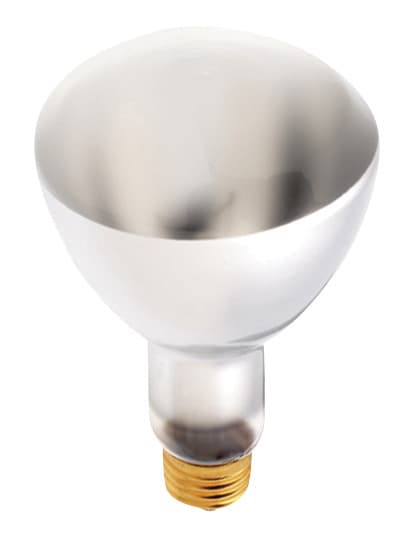 BULBS 75ER30 REFLECTOR FLOOD