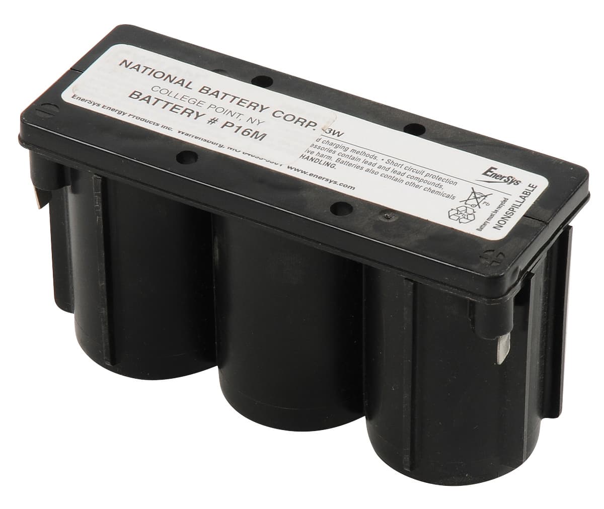 BATTERY 6VOLT #P09M DUAL-LITE