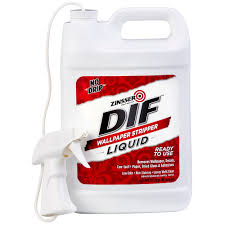 WALLPAPER STRIPPER GAL