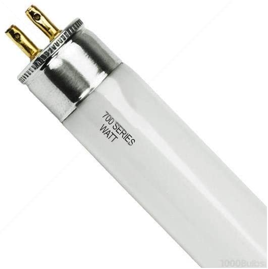 BULB FLOUR F10T5CW /16/3/8″