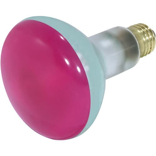 BULBS FLOOD 75W/130V PINK