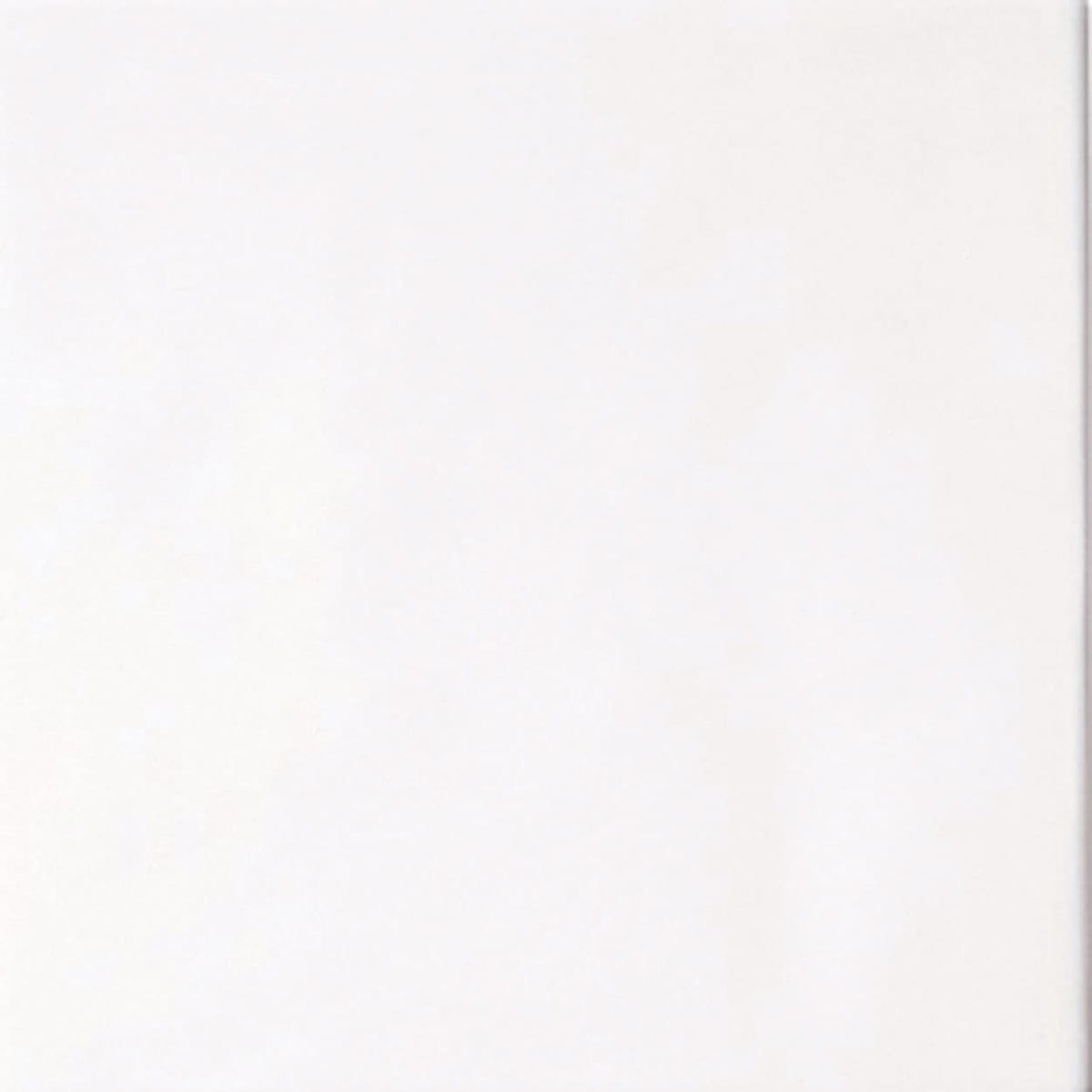 TILE 6X6 LANKA WHITE P1