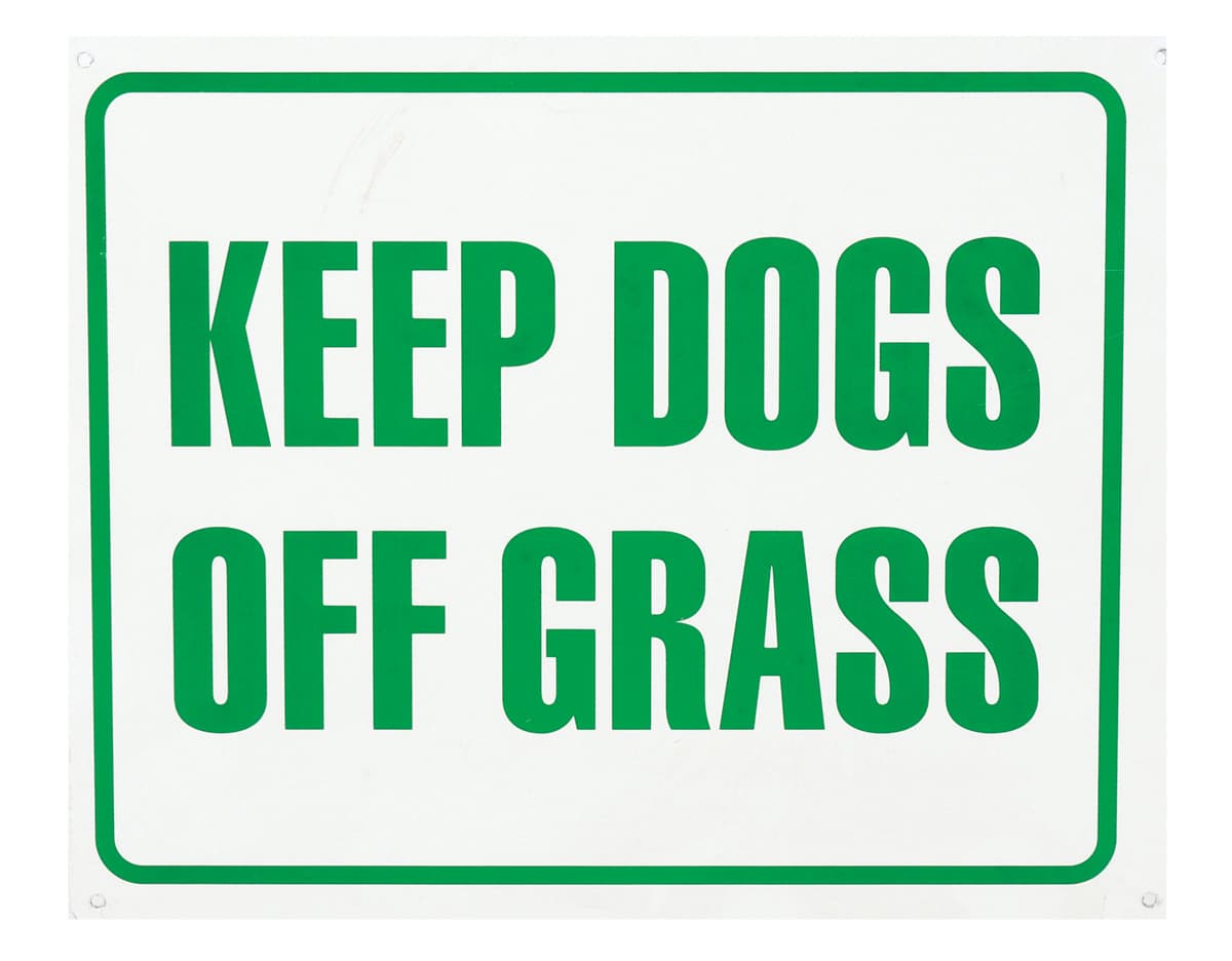 SIGN KEEP DOGS OFF GRASS 8″X10