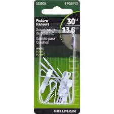WHT PICT HANGER 6PK30LB