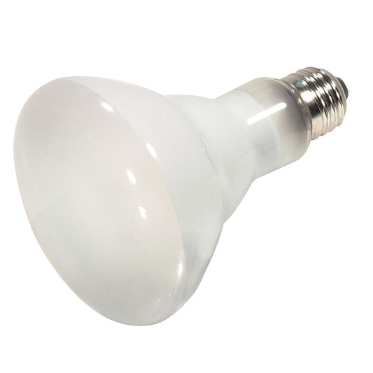 BULBS 45WATT R20 HALOGEN S4514